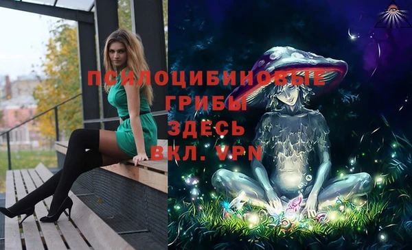spice Надым