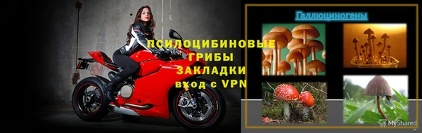 spice Надым
