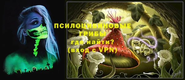 spice Надым