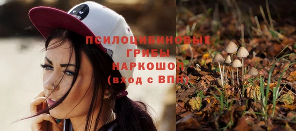 spice Надым