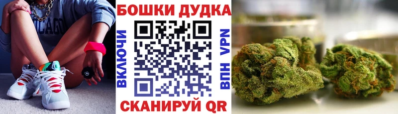 купить наркоту  Каневская  Бошки марихуана ГИДРОПОН 